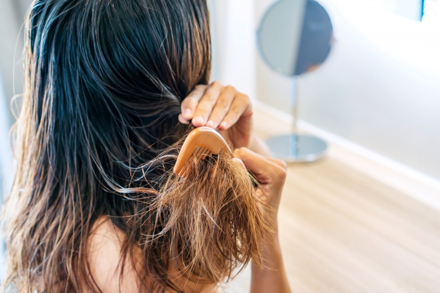 Comment utiliser l'huile de coco pour ses cheveux ? - La Fourche