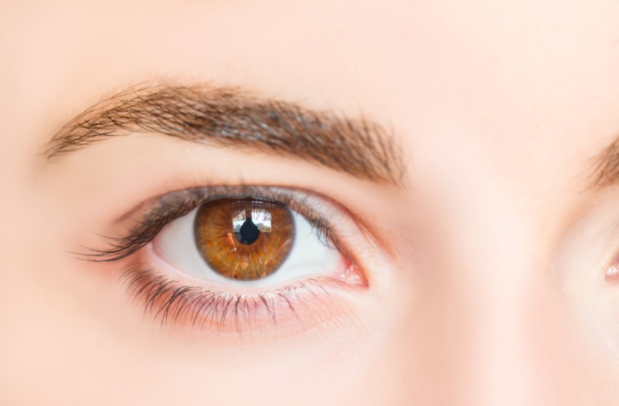 Quelle est la différence entre les yeux marron et les yeux noisette ?